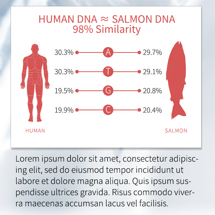 Salmon PDRN Serum