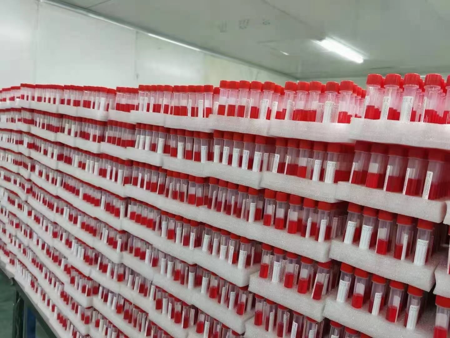 VTM tube and swab in factory